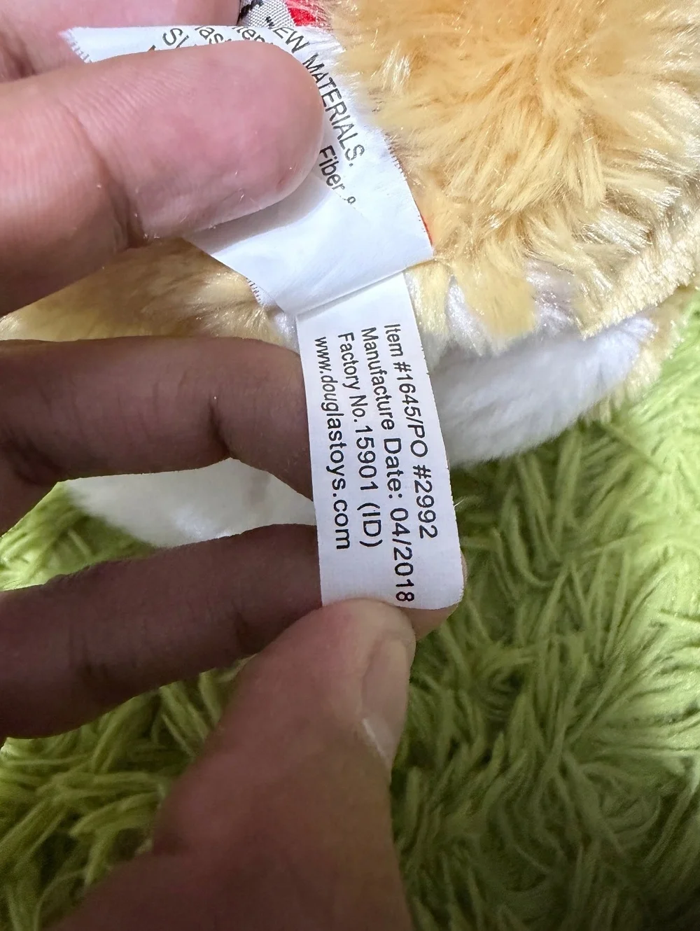 Douglas Rudy Corgi 